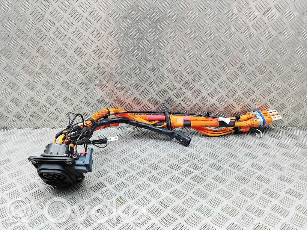 BYD Atto 3 Cable de carga del coche eléctrico 
