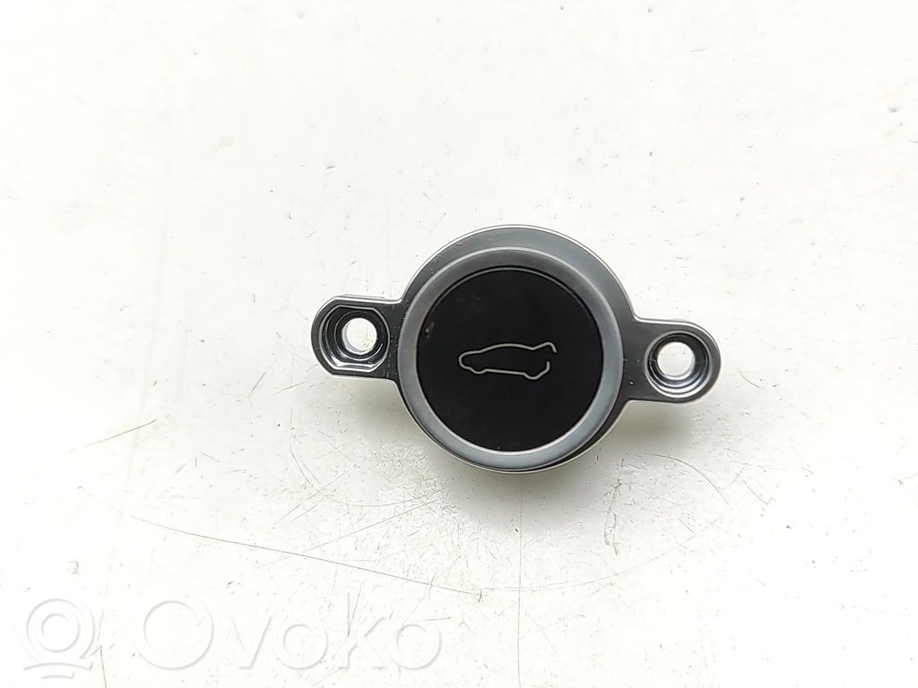 Tailgate/boot open switch button   104262900C