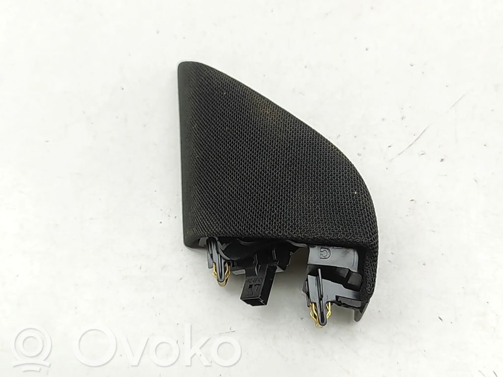 Etuoven kaiutin   107974100A