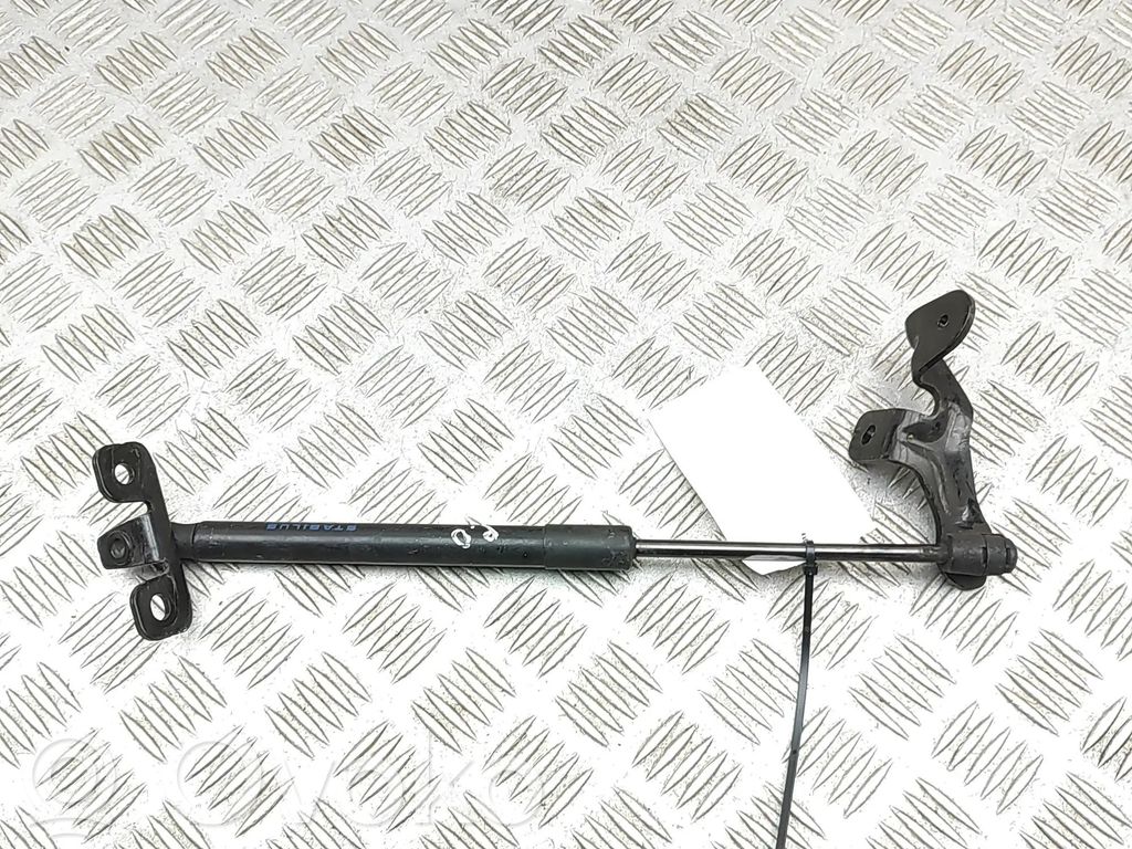 Tesla Model 3 Ammortizzatore portellone anteriore/cofano