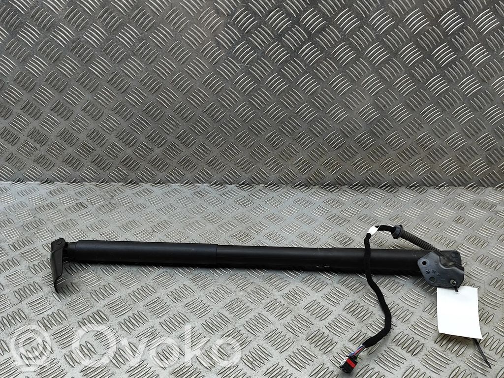 Porsche Cayenne (9Y0 9Y3) Ammortizzatore portellone posteriore/bagagliaio 