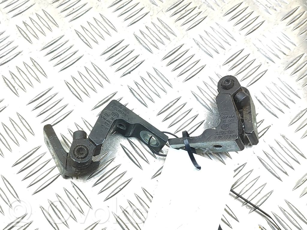 Audi Q3 F3 Set balamale ușă față 