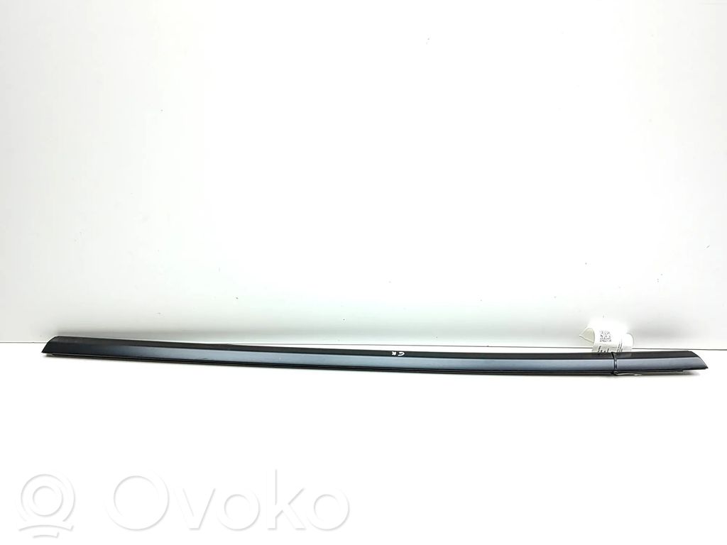 Tesla Model Y Juniper Listwa / Uszczelka szyby drzwi tylnych 