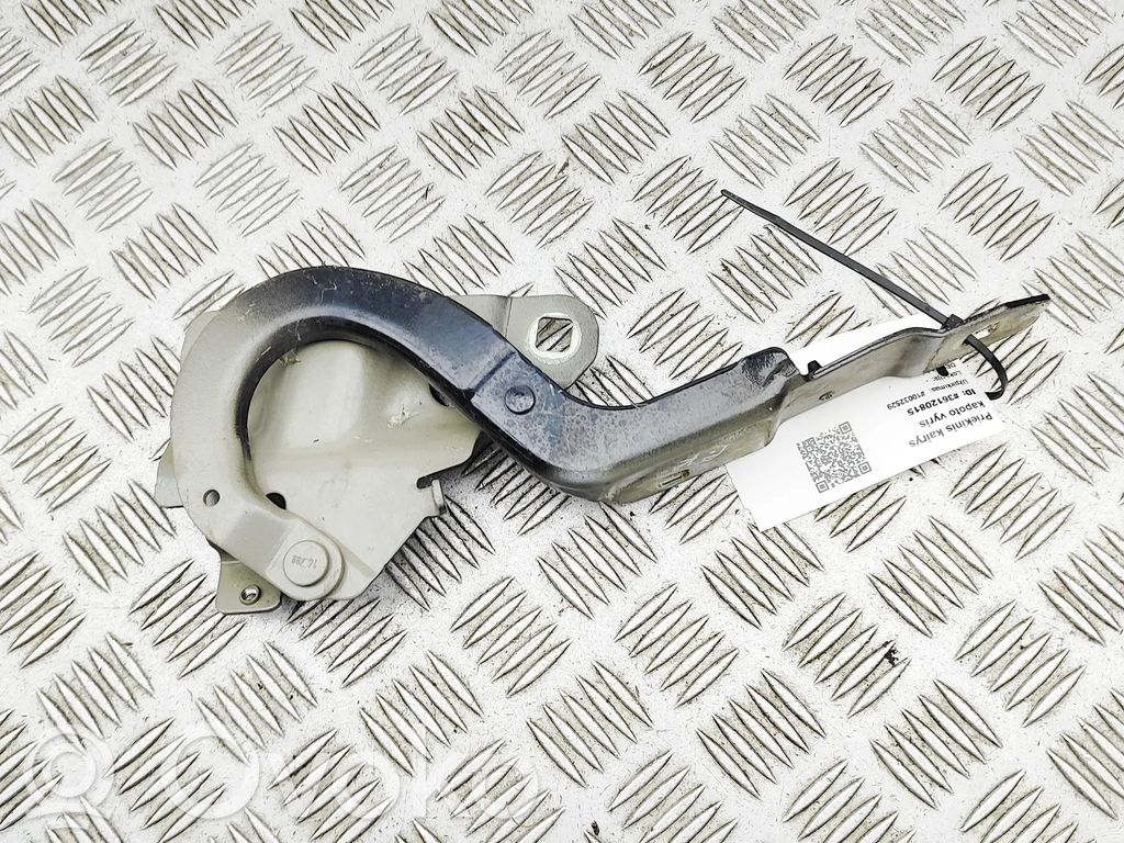 Renault Zoe Scharnier Motorhaube 