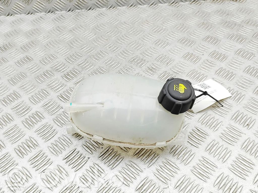 Renault Arkana Serbatoio di compensazione del liquido refrigerante/vaschetta