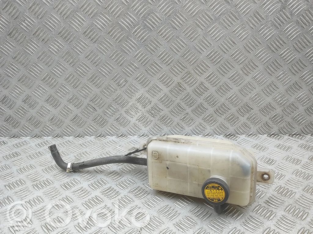 Lexus LS 460 - 600H Serbatoio di compensazione del liquido refrigerante/vaschetta