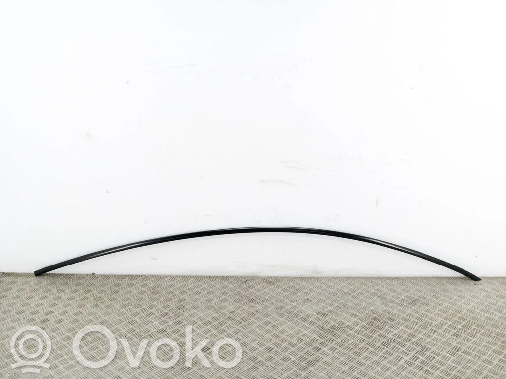 Tesla Model 3 Katon muotolistan suoja