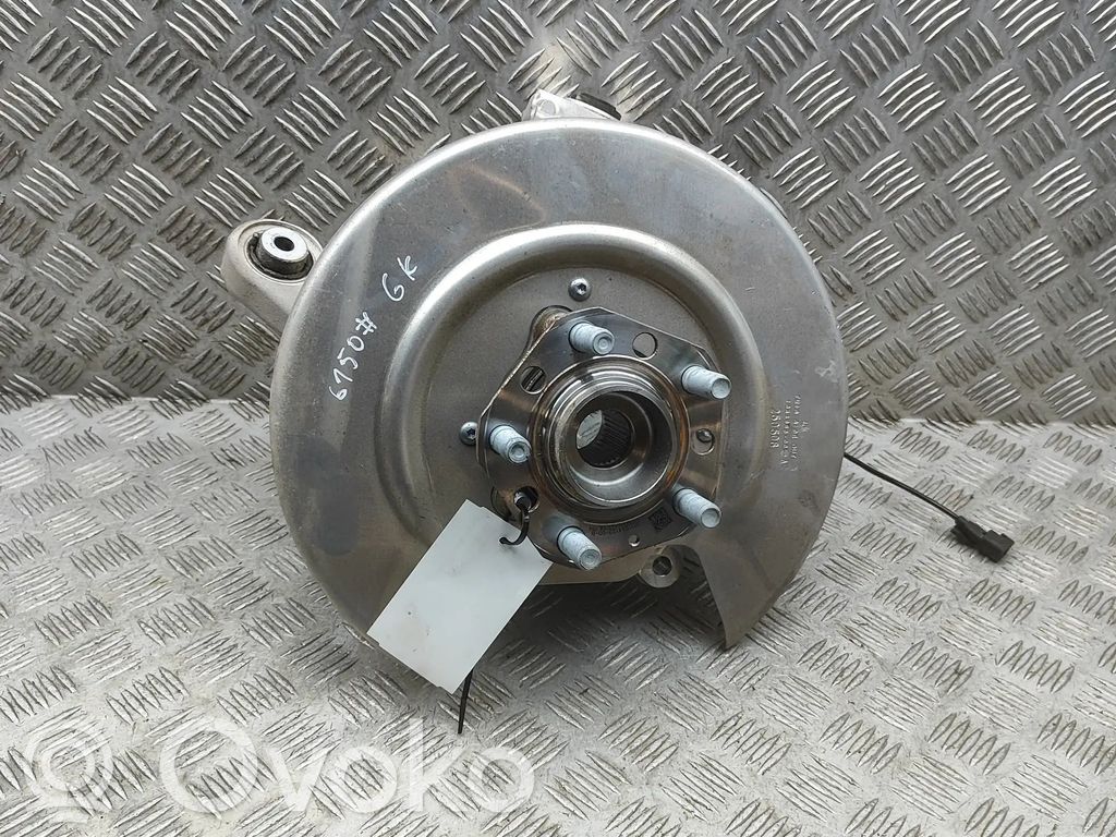 Tesla Model Y Juniper Mozzo portante ruota posteriore (usato)