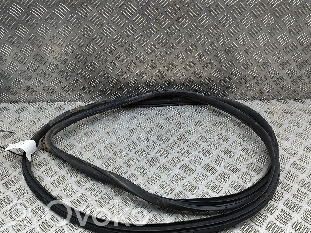 Hyundai Santa Fe Uszczelka drzwi 