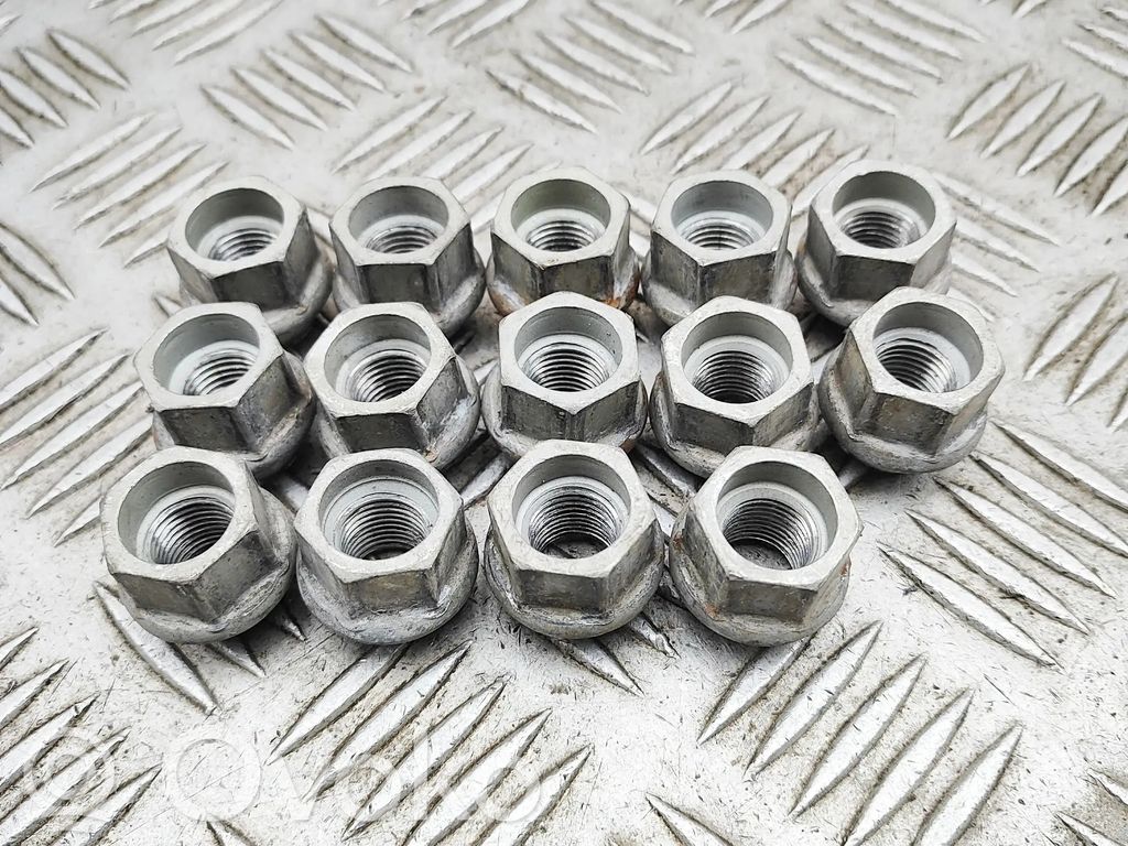 Tesla Model X Nuts/bolts 