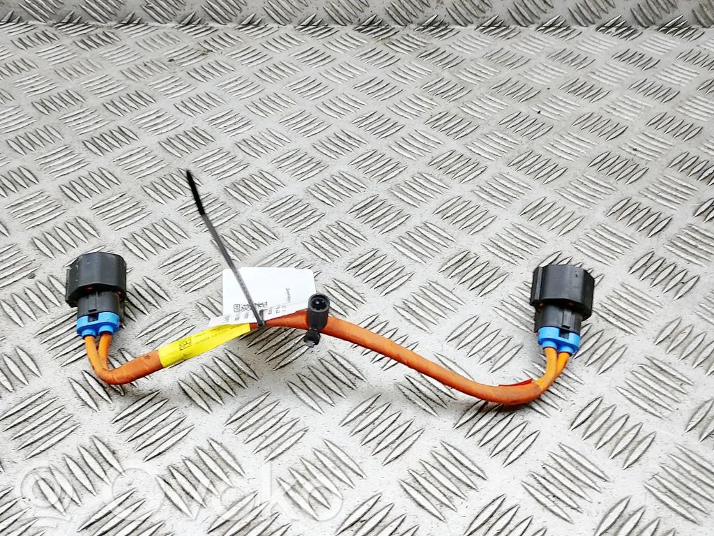 Tesla Model X Other wiring loom