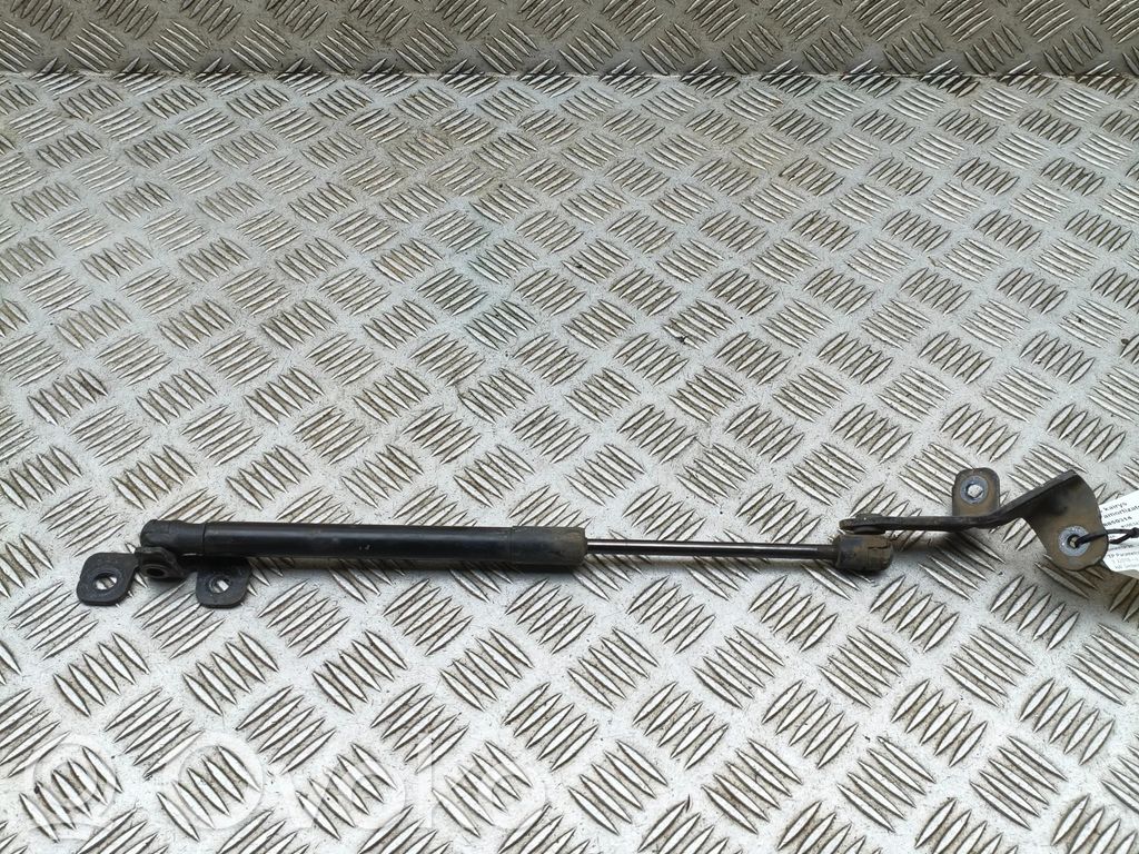 Tesla Model 3 Amortiguador/puntal del capó/tapa delantero 