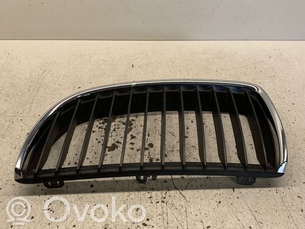 Front grill   22405910