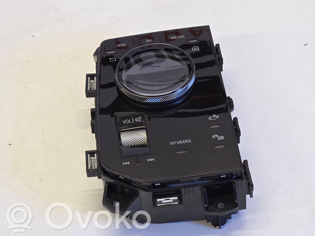BMW 5 G60 G61 Head unit multimedia control 