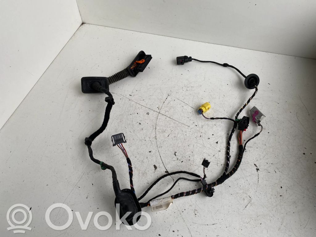 Volkswagen Tiguan Wiązka przewodów drzwi przednich 