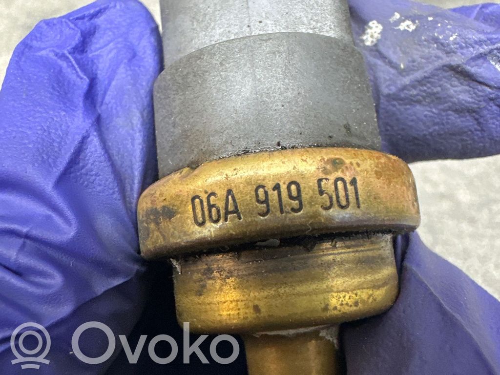 Audi A4 S4 B6 8E 8H Senzor temperatură lichid răcire 