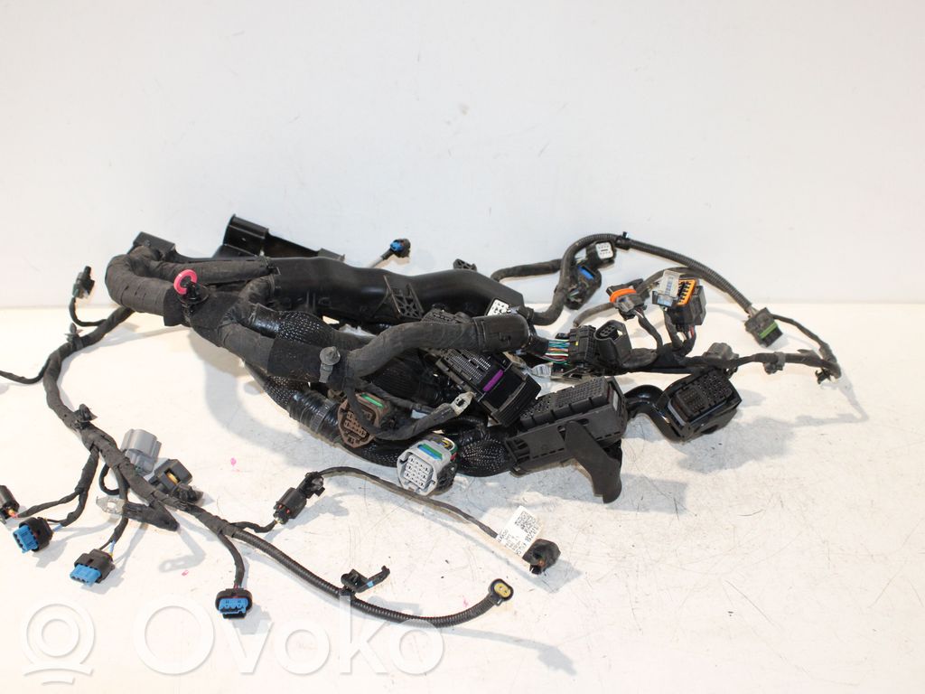 KIA Niro Faisceau de câblage pour moteur 