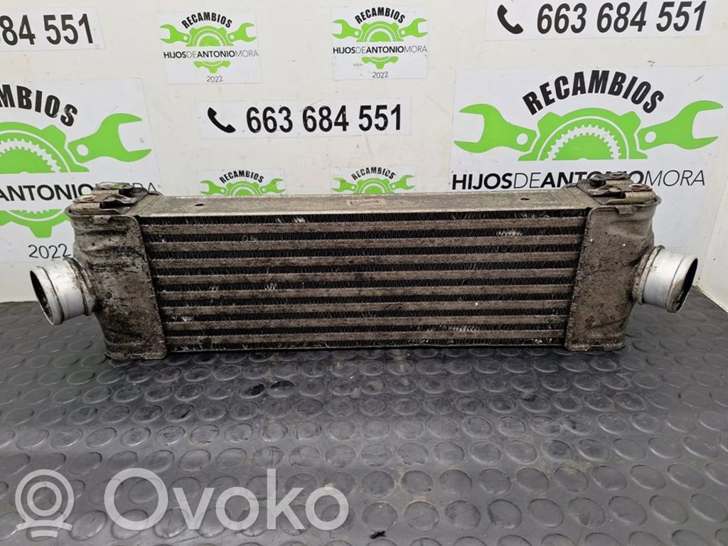 Interkūlerio radiatorius   6C119L440AC,FACUNDO