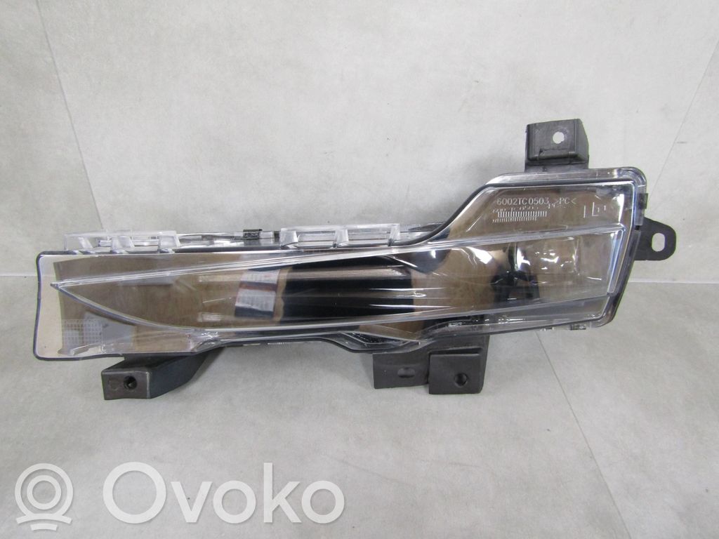 LED dienas gaisma   TESLAMODELS