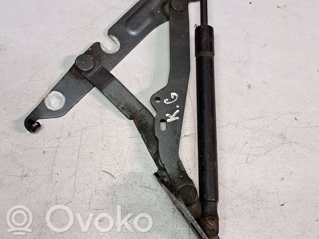 Tailgate/trunk/boot hinge   52669