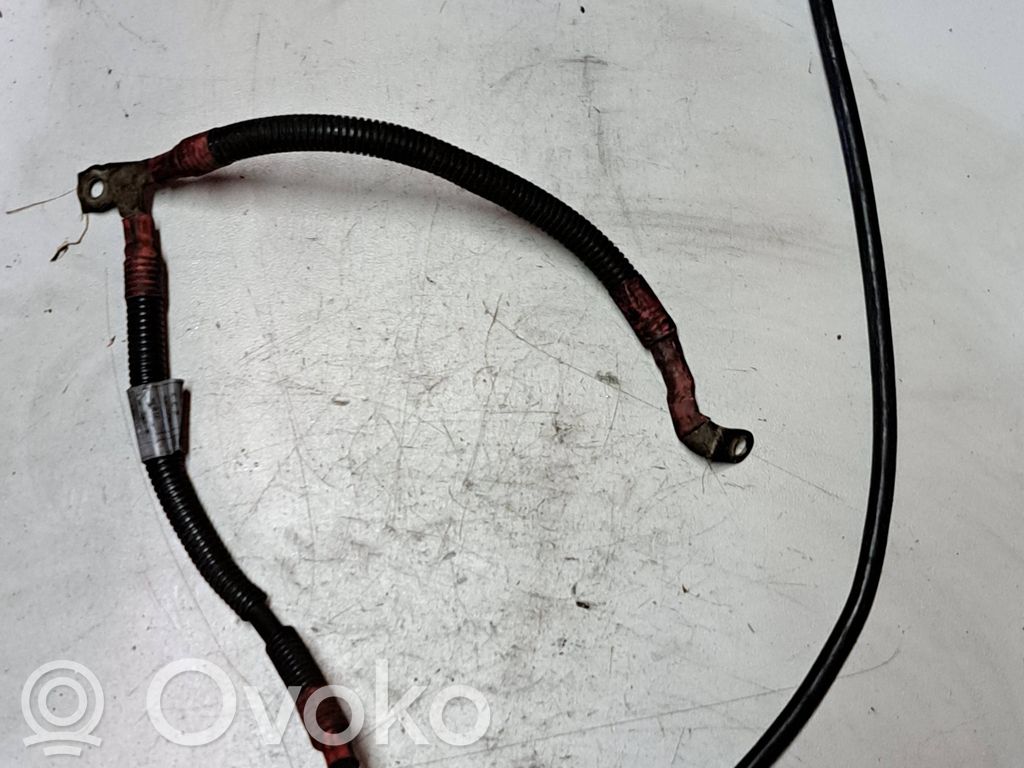 Audi A4 S4 B8 8K Pliusinis laidas (akumuliatoriaus) 