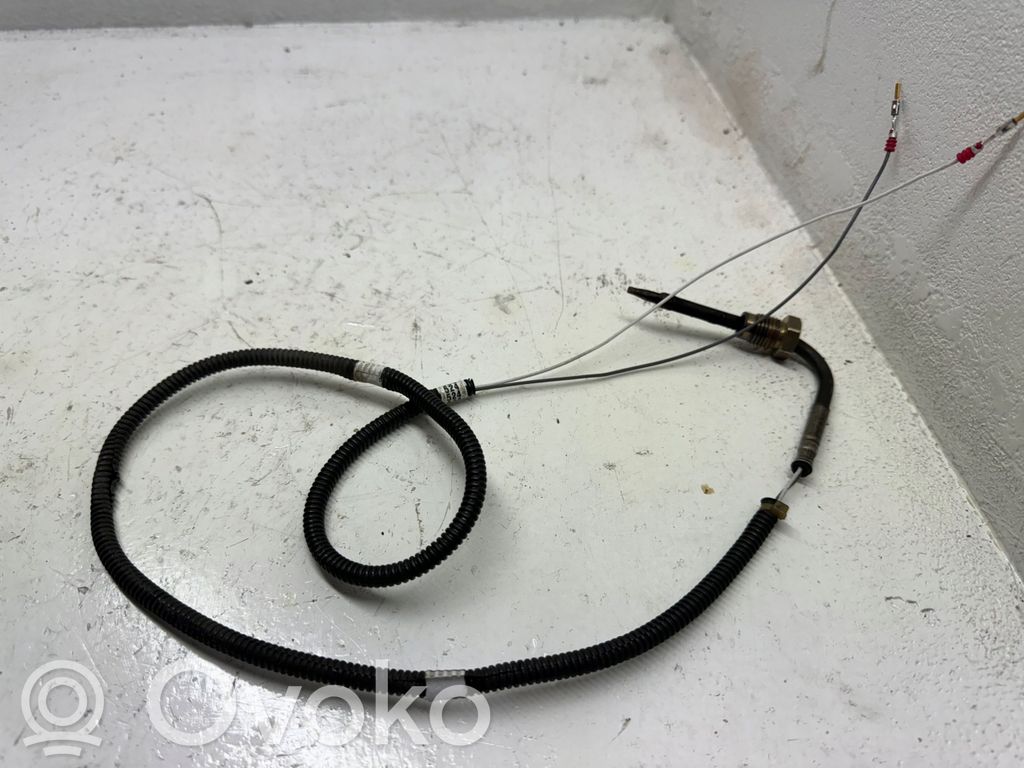 Volkswagen Crafter Išmetamųjų dujų temperatūros daviklis 