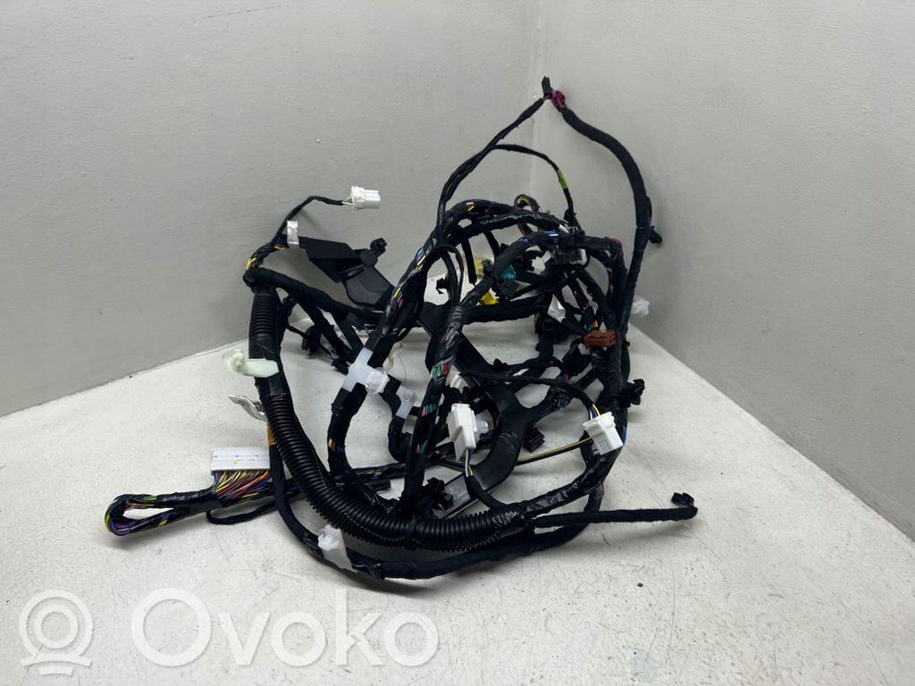 Engine installation wiring loom   P252127700A,P248904000A,ZG2016950000