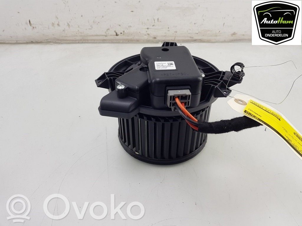 Tesla Model 3 Pečiuko ventiliatorius/ putikas 