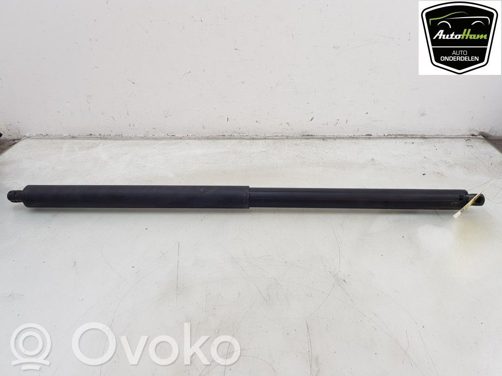 Tesla Model S Amortizor hayon 