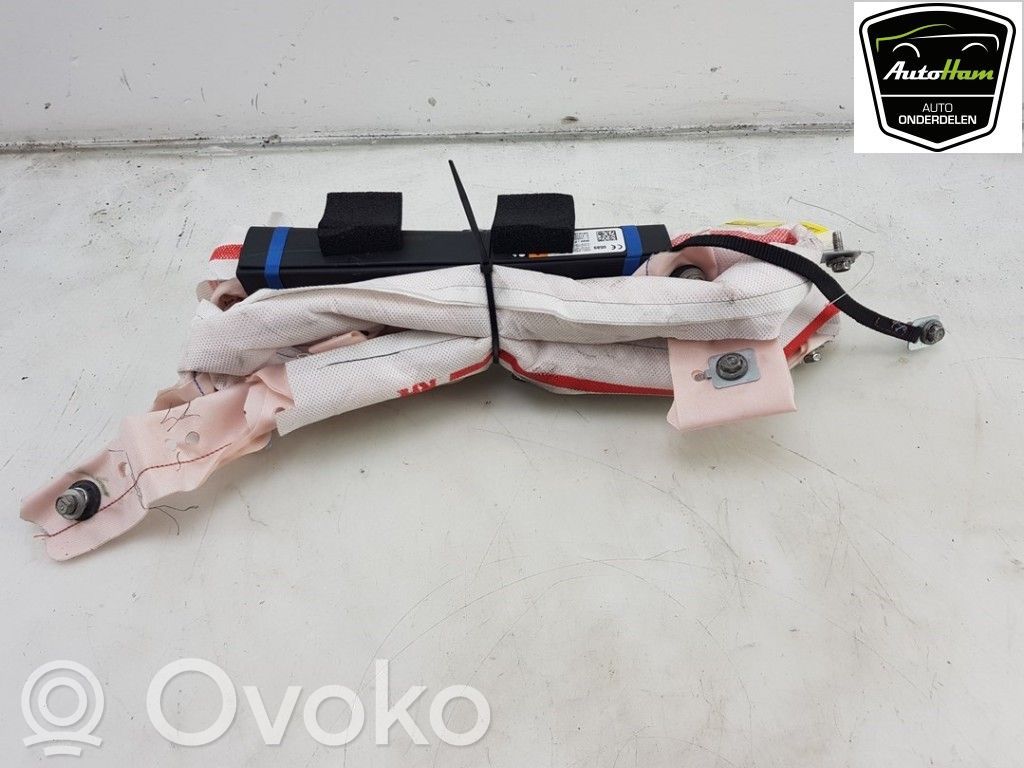 Tesla Model S Airbag del techo 