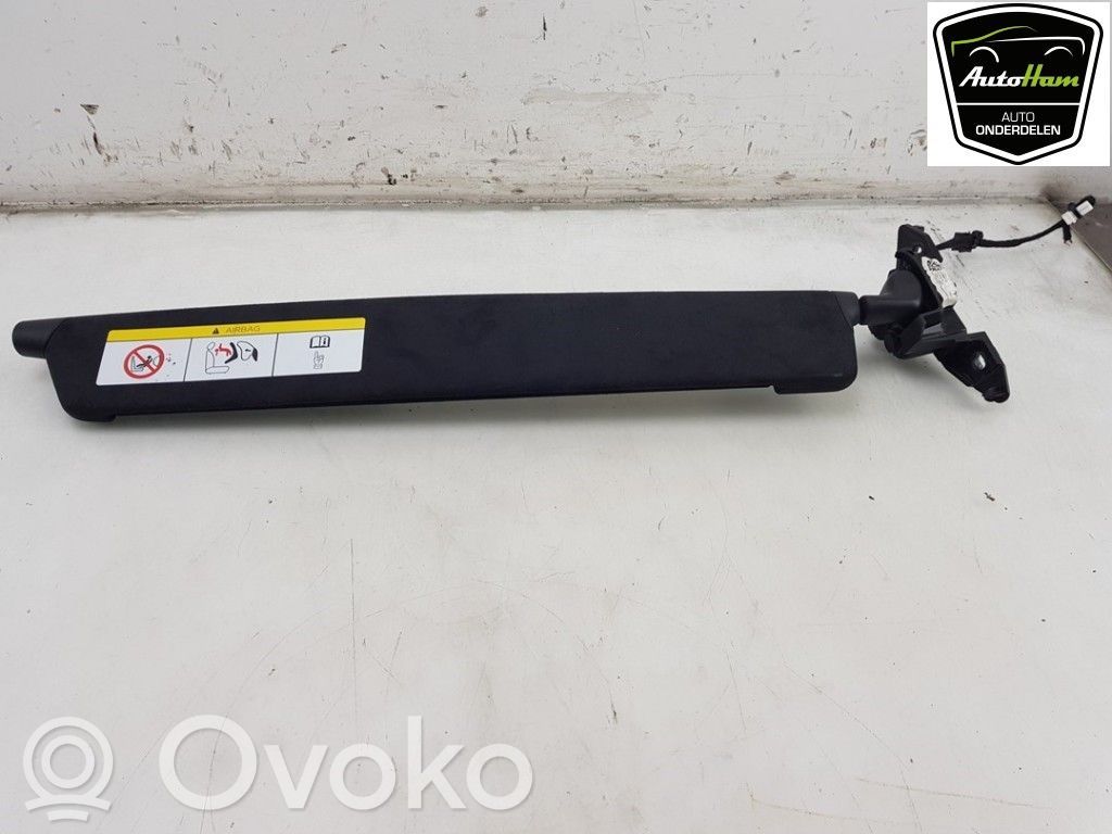 Tesla Model X Sun visor 