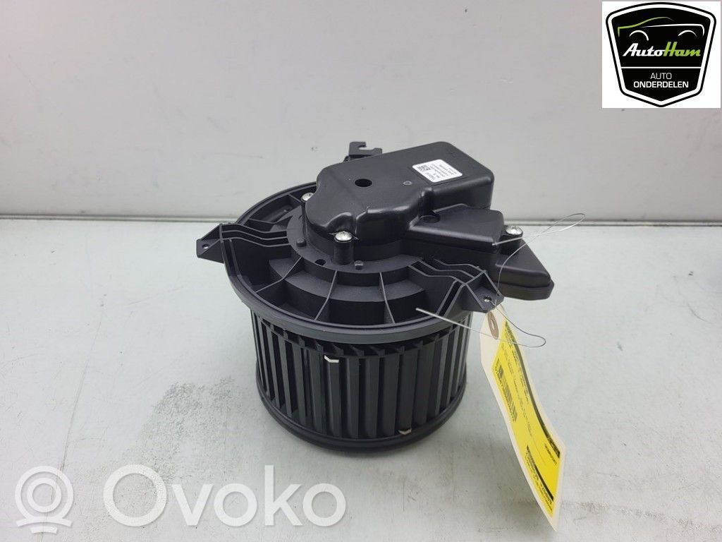 Tesla Model 3 Pečiuko ventiliatorius/ putikas 