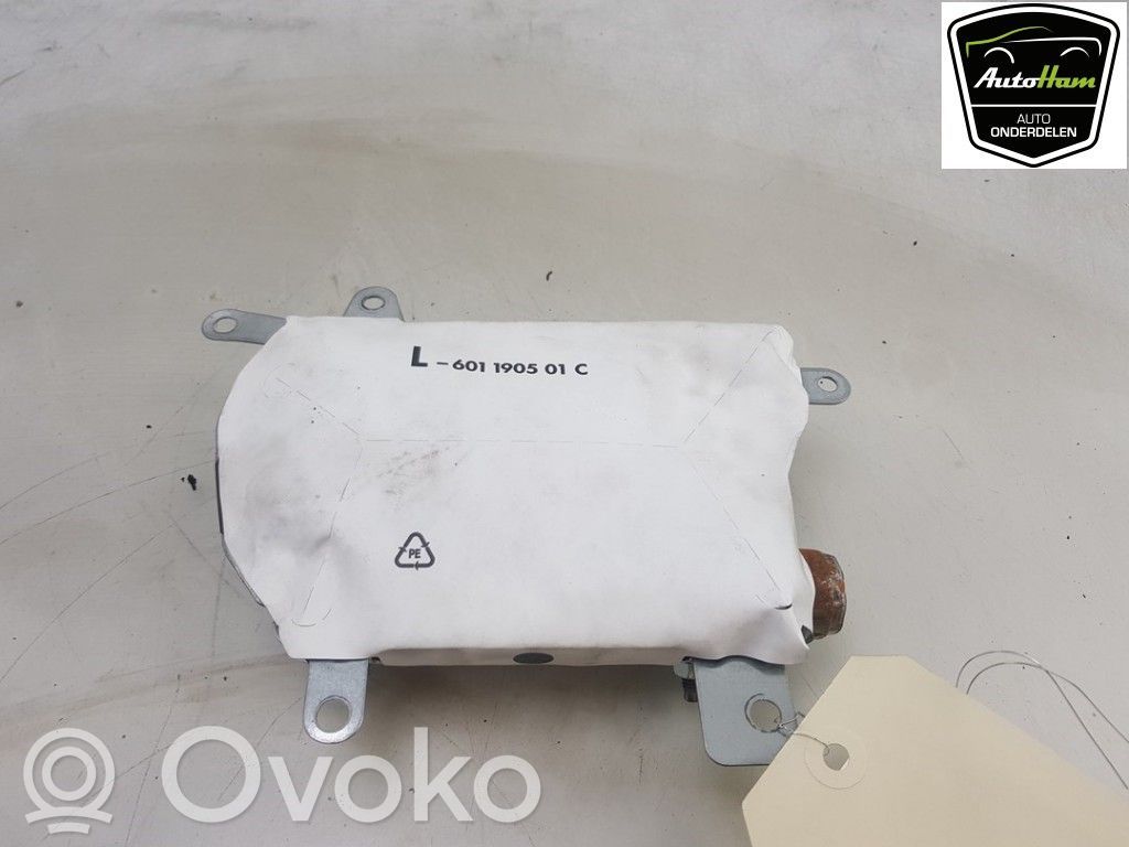 Airbag de la puerta delantera   6963021,72126963021,6963021,72126963021
