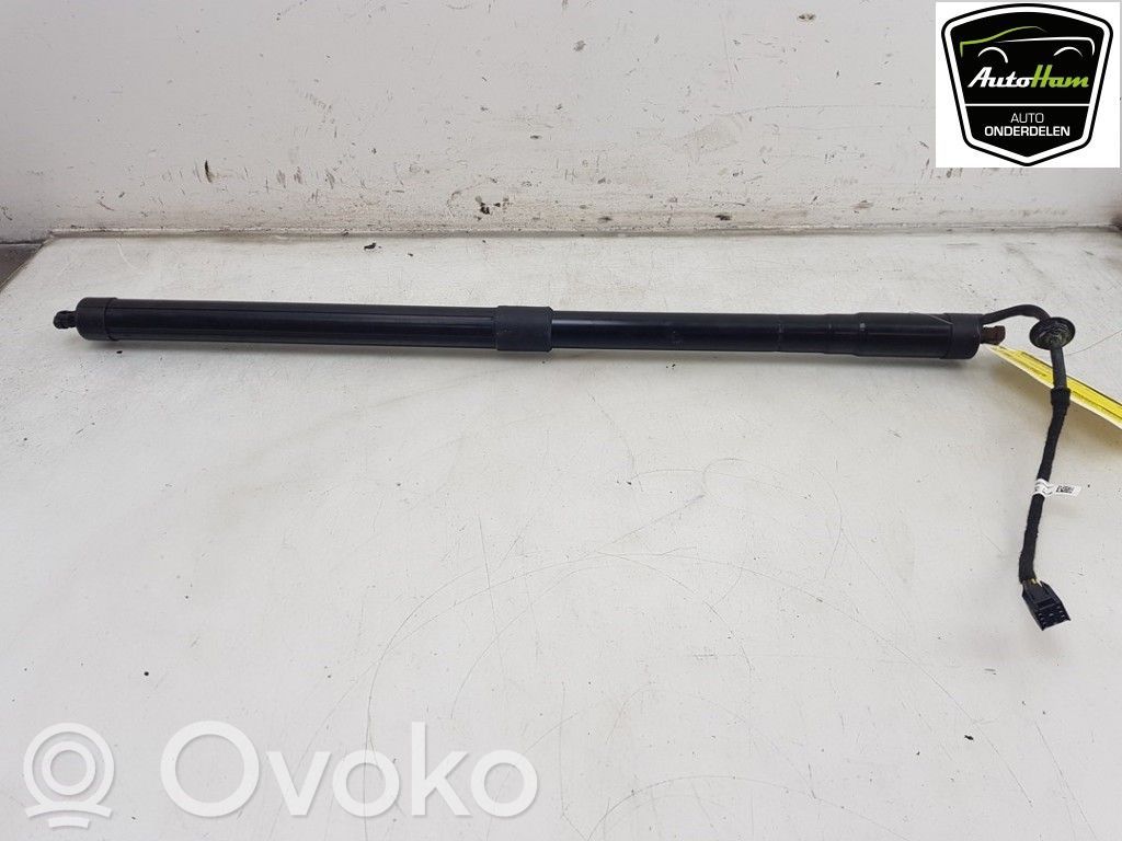 Land Rover Range Rover Sport L494 Siłownik elektryczny podnoszenia klapy tylnej / bagażnika 
