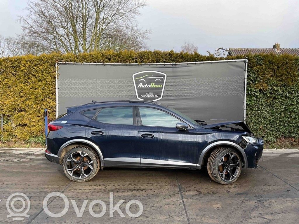 Cupra Formentor Дверь 