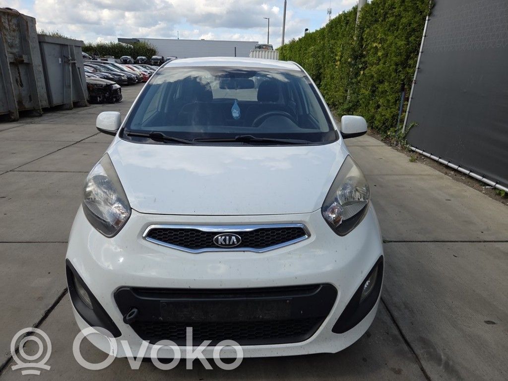 KIA Picanto Sparnas 