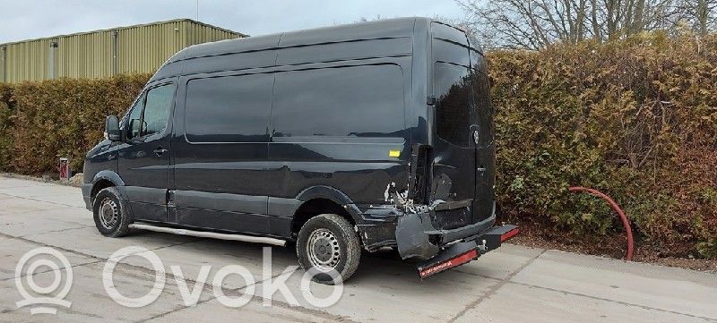 Volkswagen Crafter Puerta delantera 