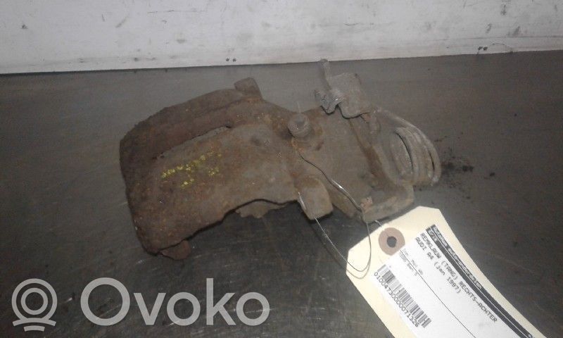 Takajarrusatula   8D0615424,8D0615424