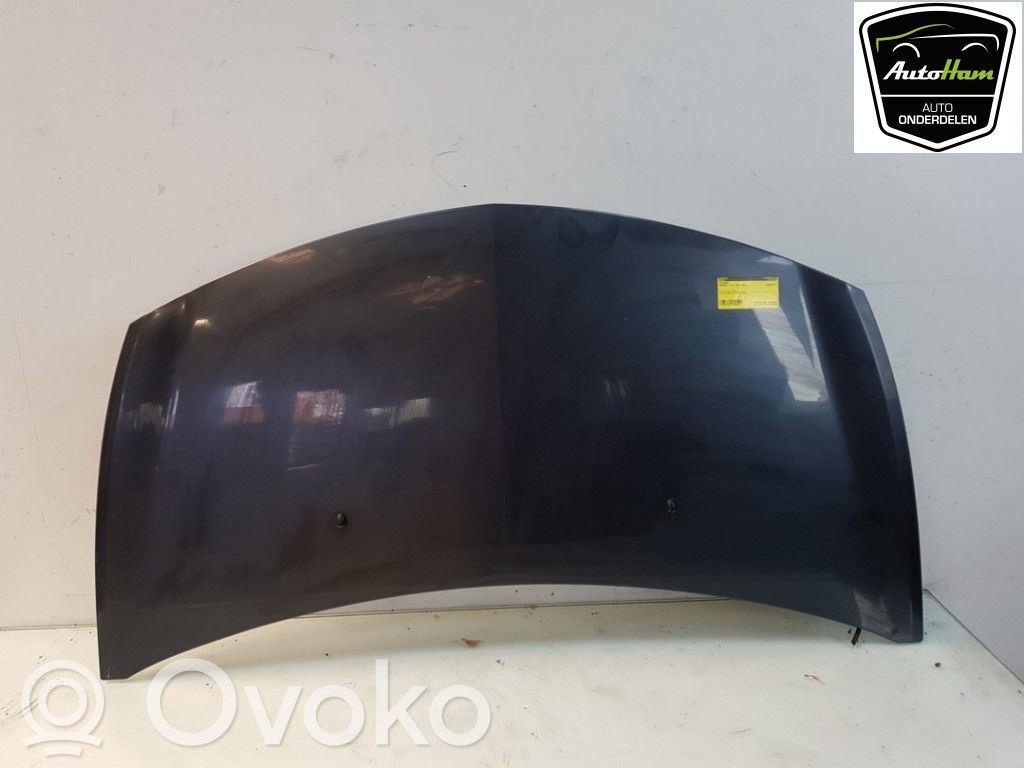 Renault Clio III Dzinēja pārsegs (vāks) 