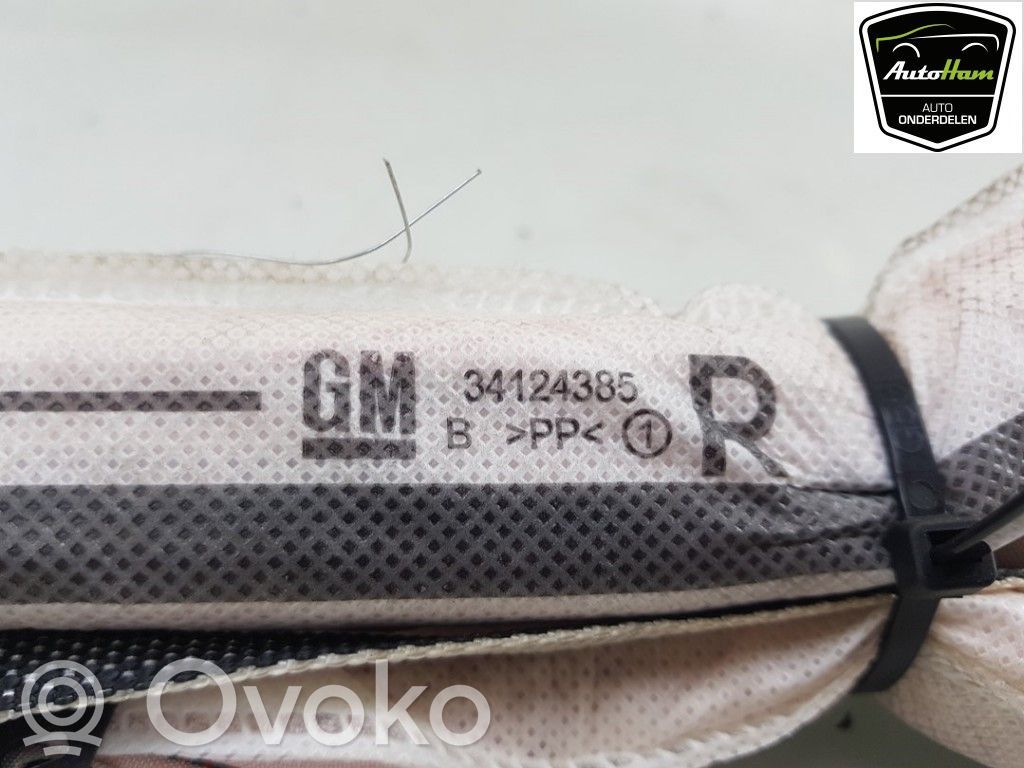 Opel Adam Airbag del techo 