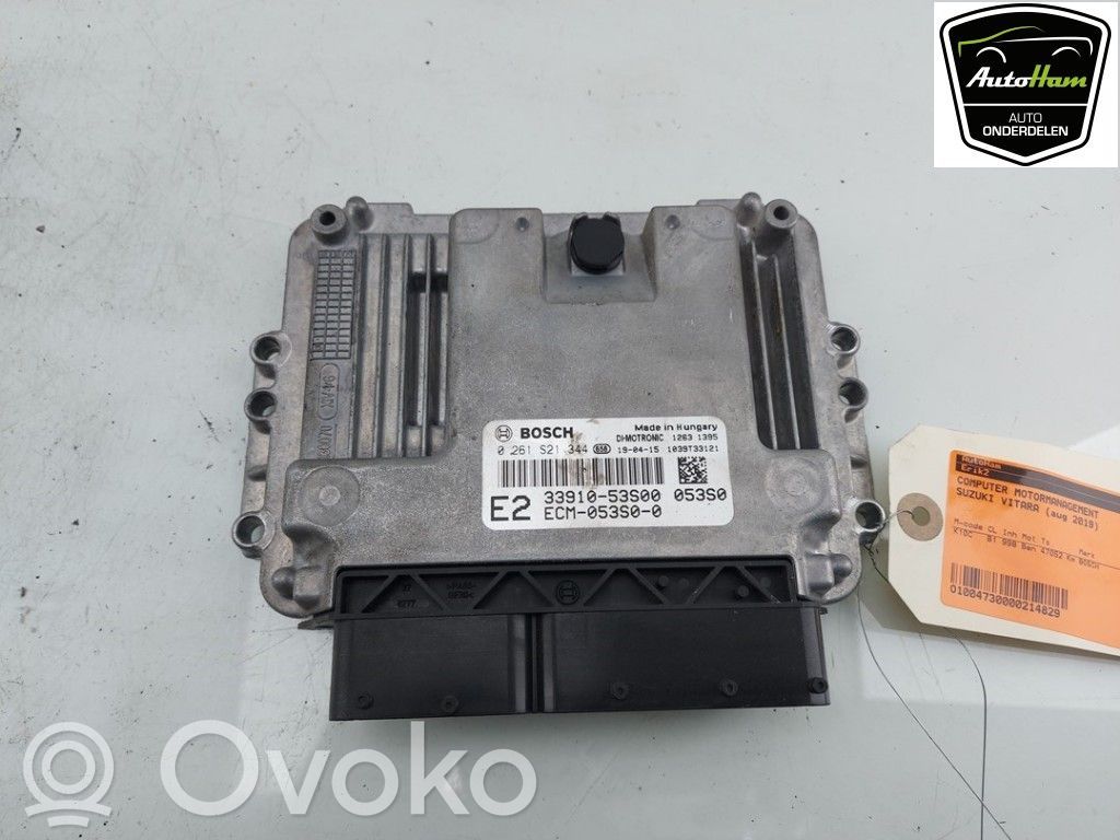 Sterownik / Moduł ECU   3391053S00,3391053S00,3391053S00000,3391053S00,3391053S00000