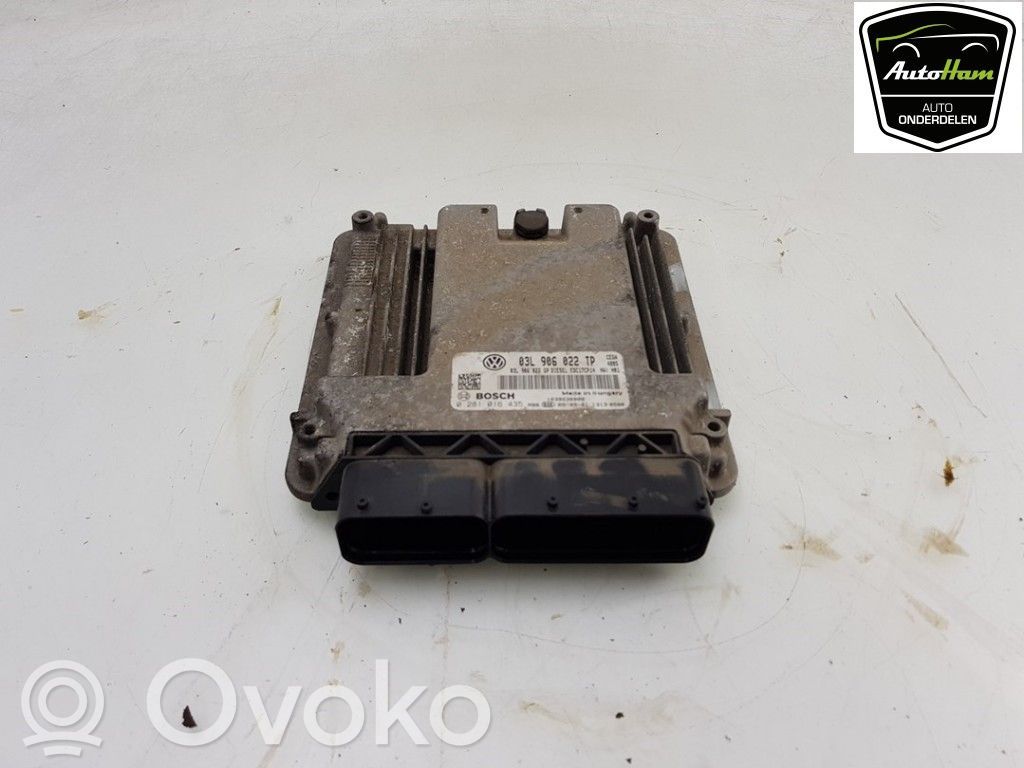 Seat Leon (1P) Unitate/modul de control motor 
