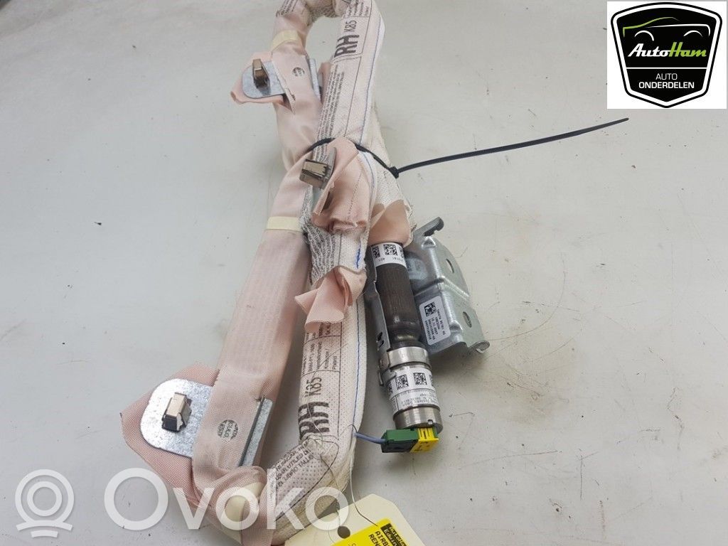 Renault Clio III Airbag del techo 