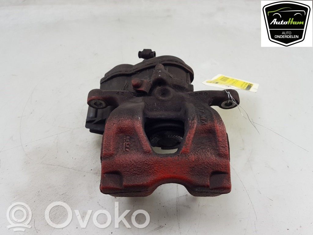 Takajarrusatula   8W0615404,8W0615404