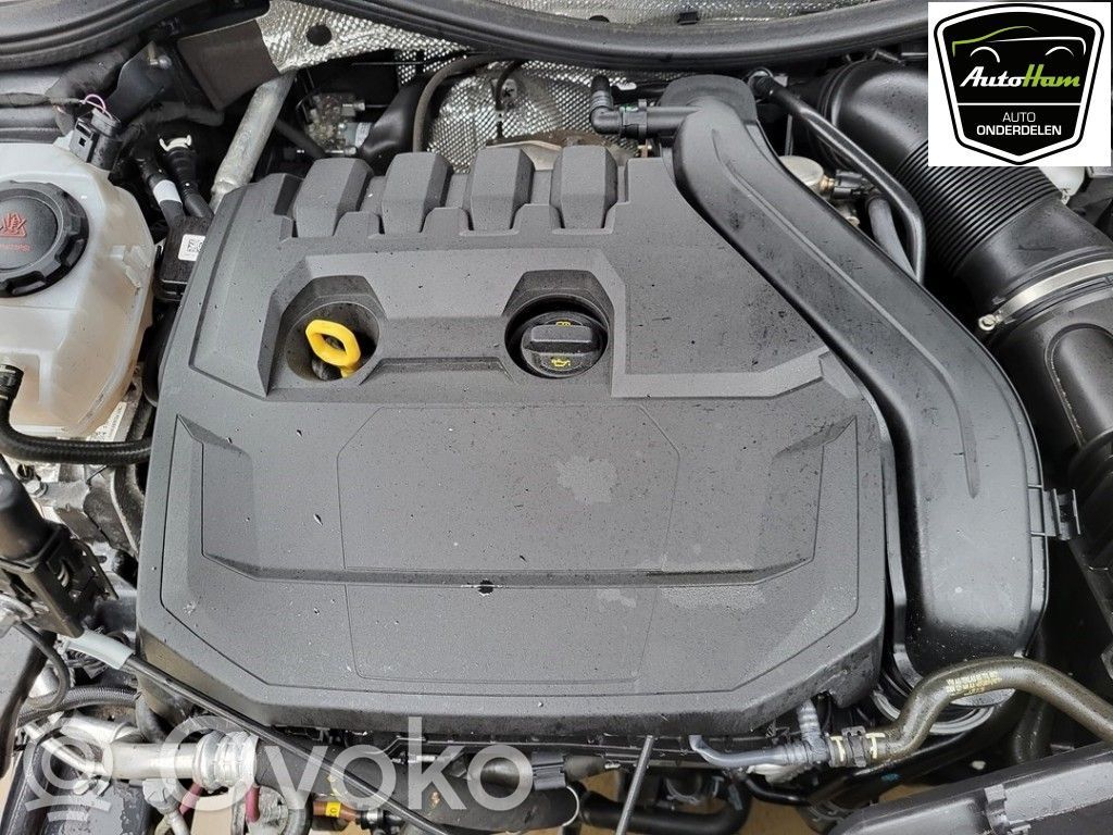 Volkswagen Golf VIII Automatyczna skrzynia biegów 
