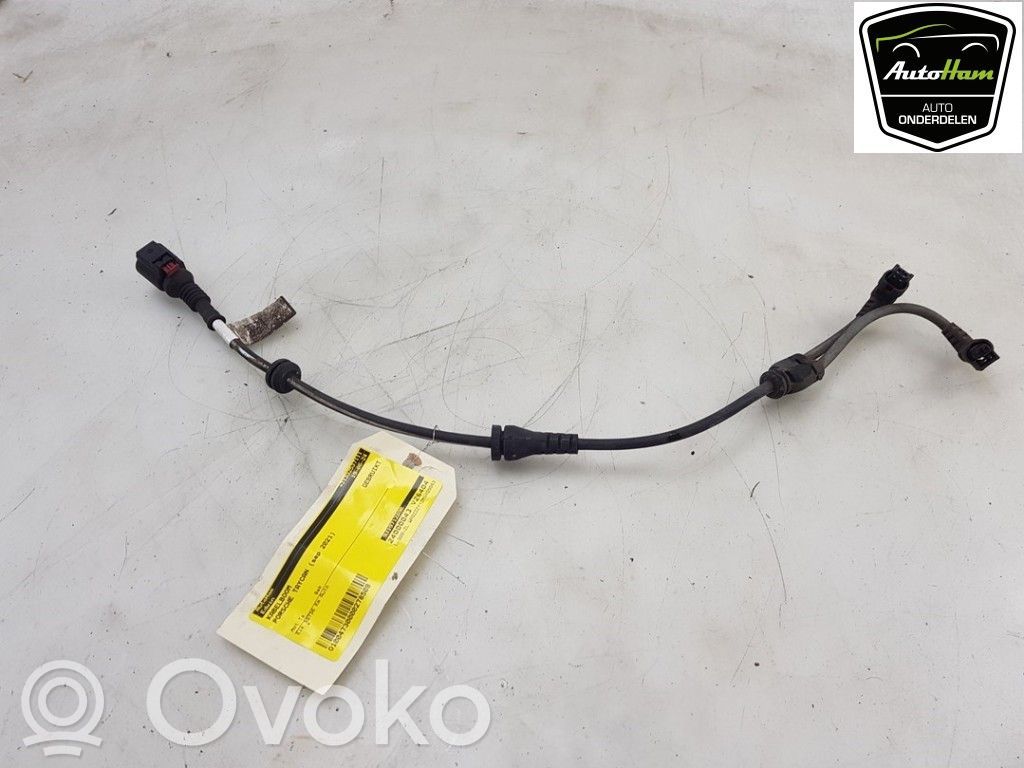 Porsche Taycan 9J1 Otros cableados 