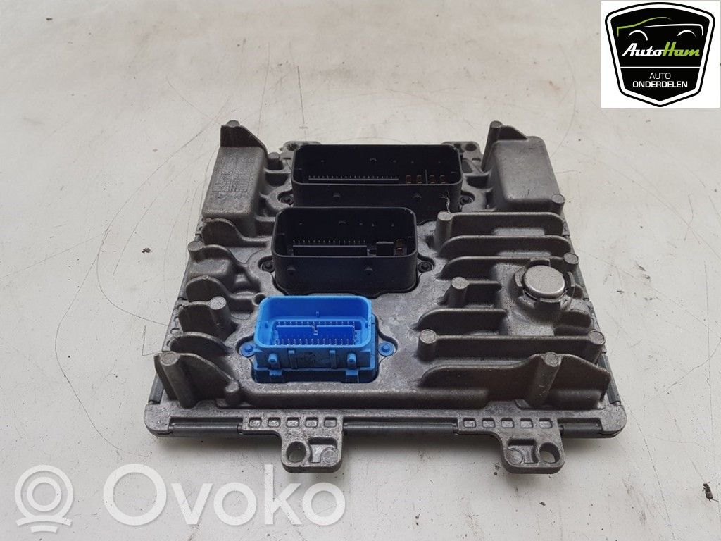 Engine control unit/module   55509243,55501366,55501366,55509243