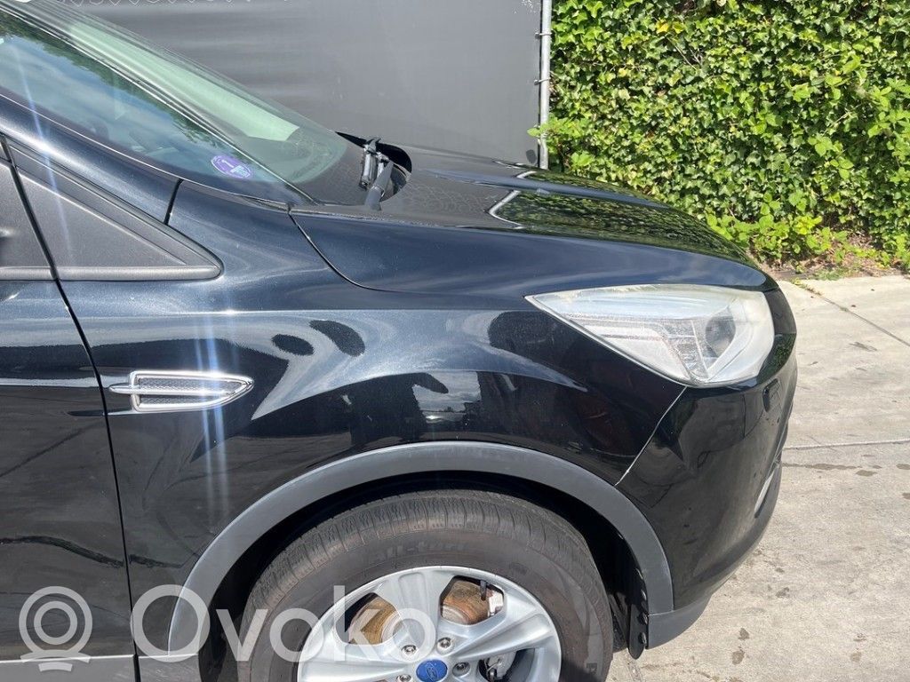 Ford Kuga II Aile 