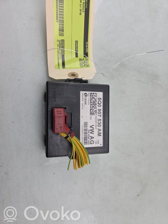Volkswagen Tiguan Modulo di controllo accesso 