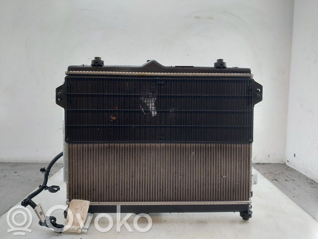 Opel Frontera Radiator set 